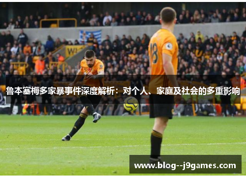 鲁本塞梅多家暴事件深度解析：对个人、家庭及社会的多重影响